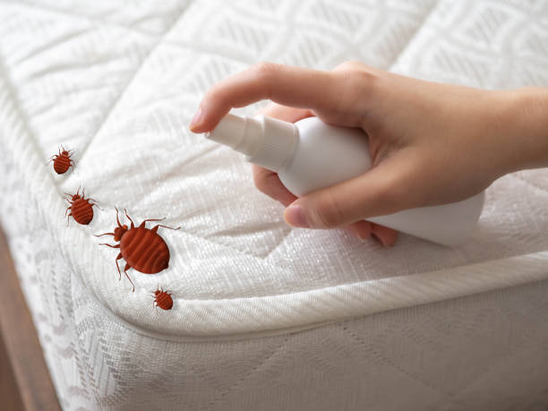 Best Commercial Pest Control Services  in Hopewell, TN