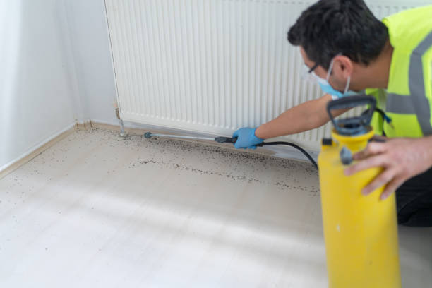 Pest Prevention Services in Hopewell, TN